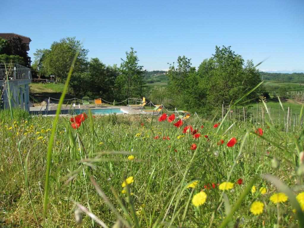 Agriturismo Cascina Ponchietta Monta ภายนอก รูปภาพ
