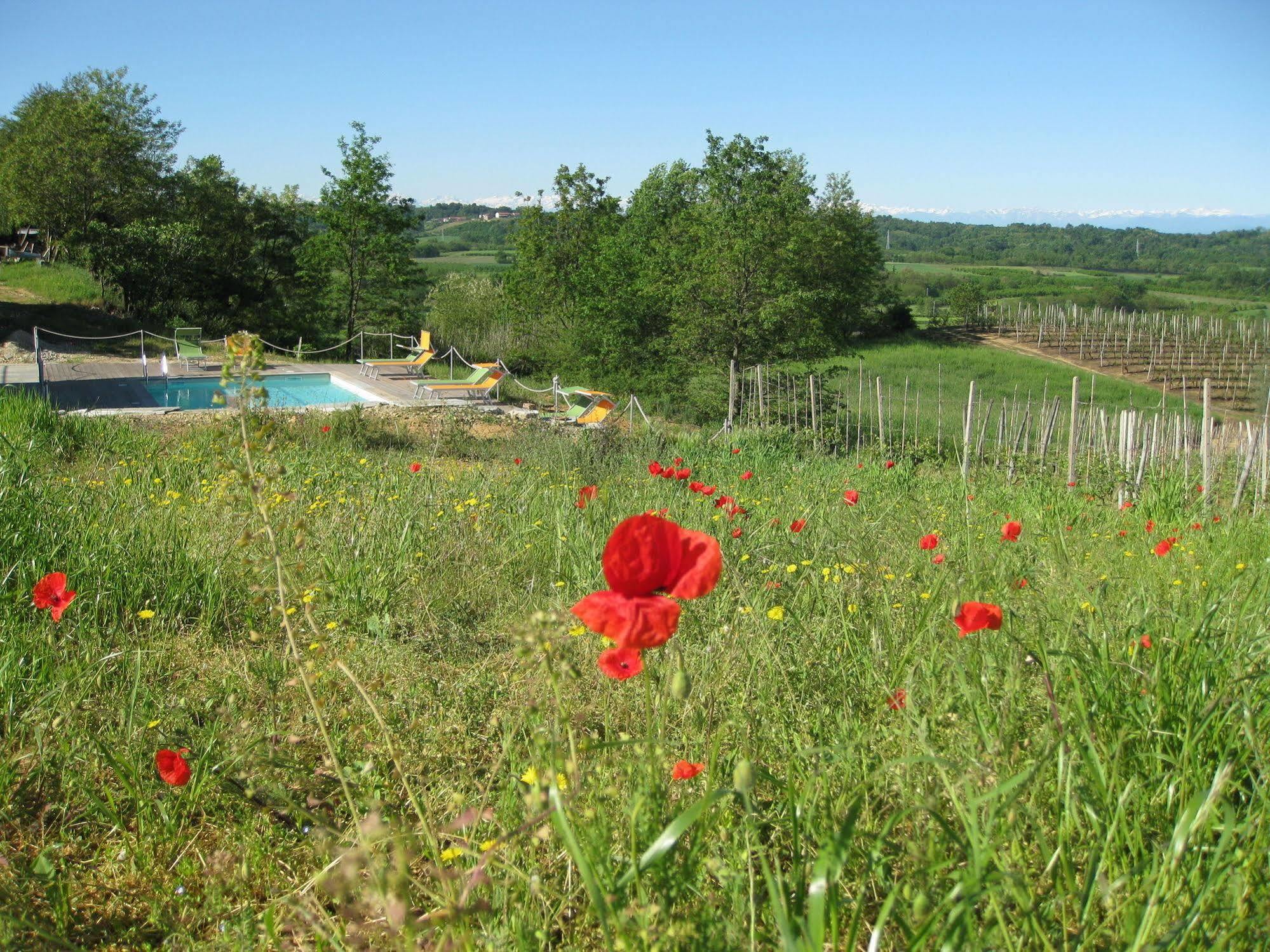 Agriturismo Cascina Ponchietta Monta ภายนอก รูปภาพ